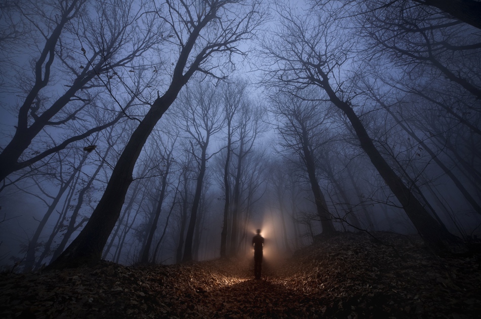 密码保护：2025-1020