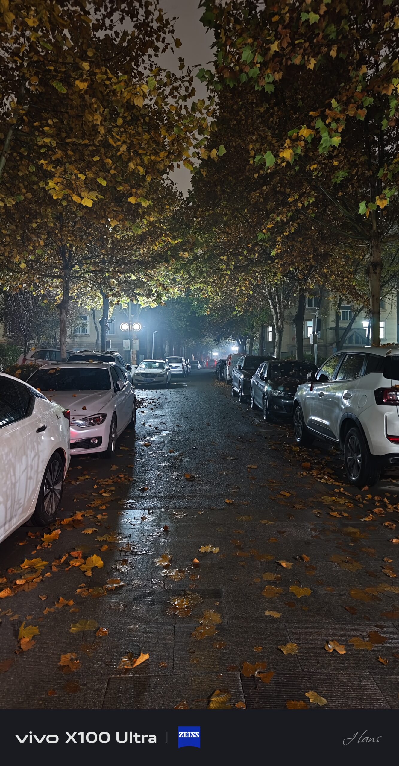 密码保护：2025-1108