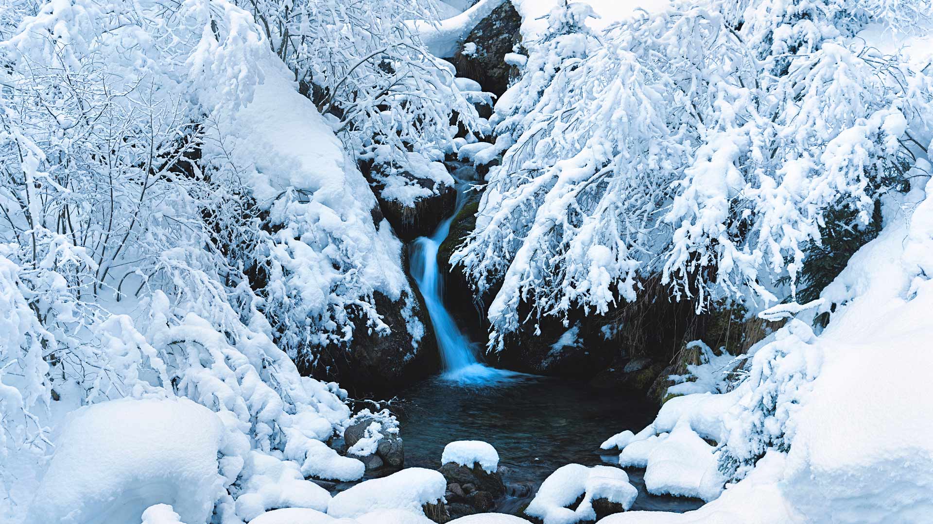 密码保护：2025-1127