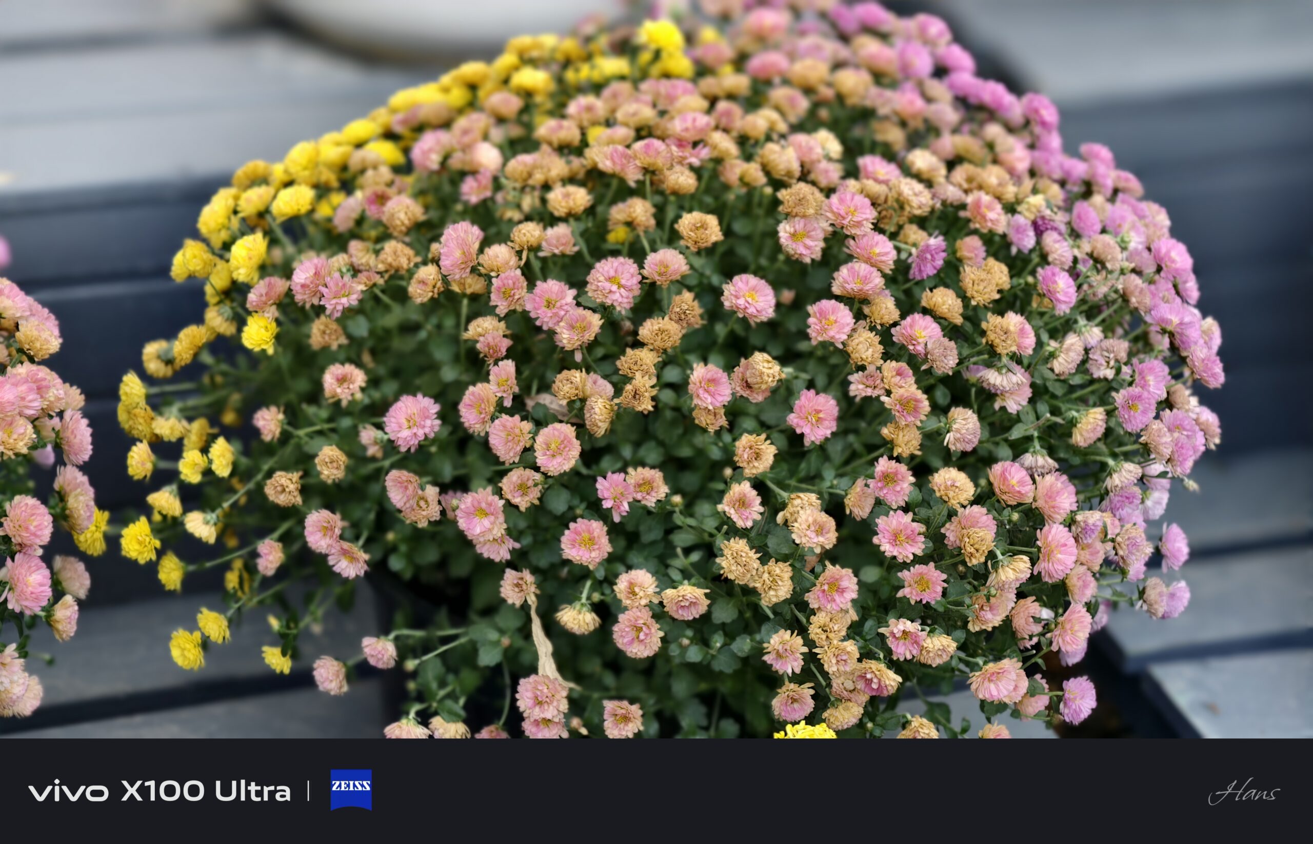 密码保护：2026-01-24